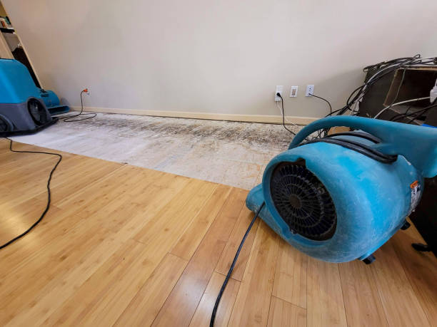 Professional Emergency Water Damage technician working in Blackstone, MA